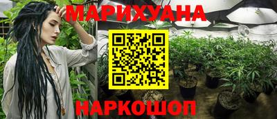 прущая мука Будённовск